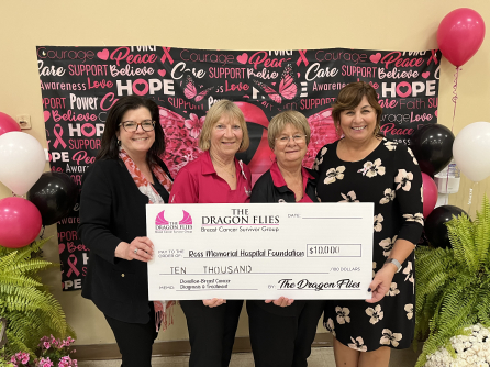 Dragon  Flies cheque close.5 content images