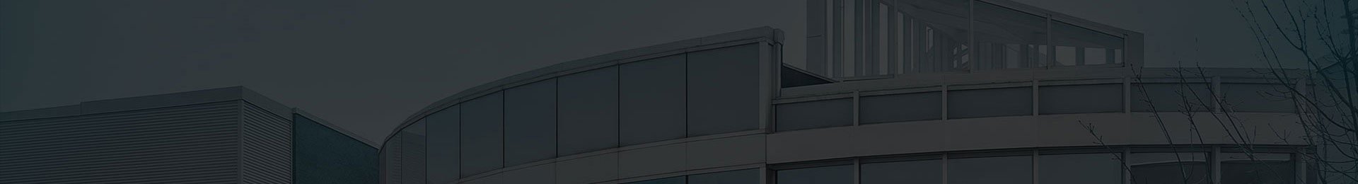 We Are The Ross banner background image